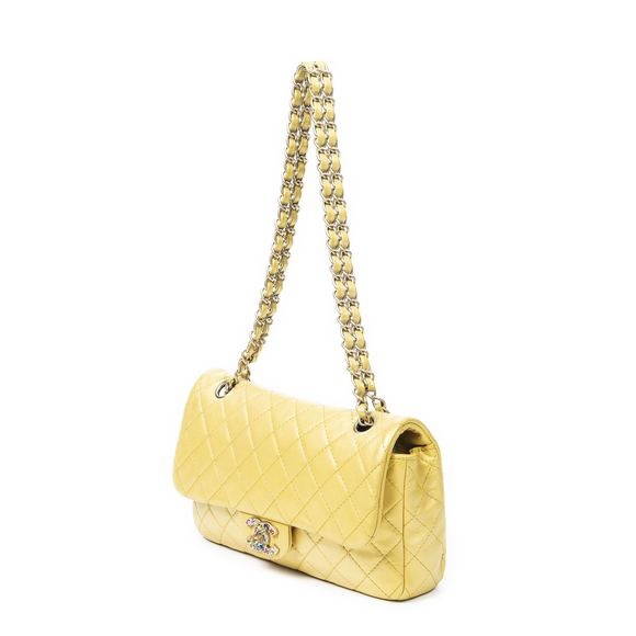 Chanel Medium Precious Jewel Flap - Picture 2 of 9